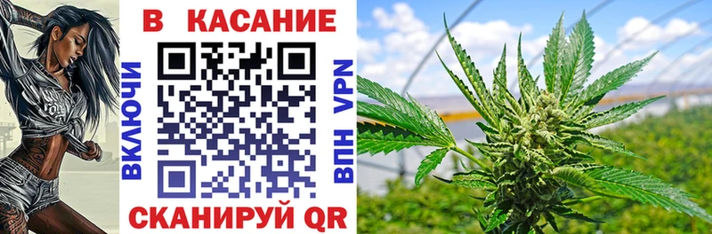 Галлюциногенные грибы Чулым