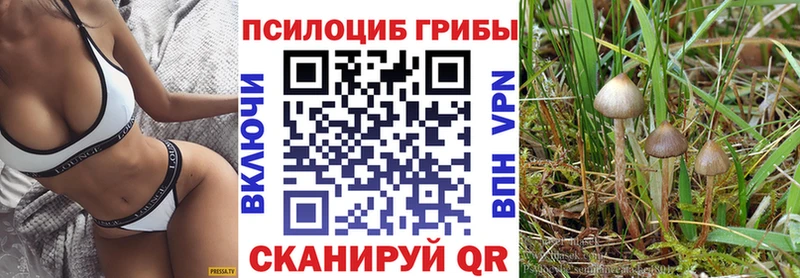 Галлюциногенные грибы Magic Shrooms  Чулым 